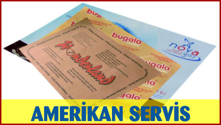 amerikan servis fiyatları